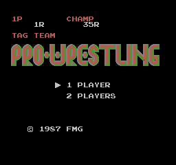 Tag Team Pro-Wrestling screenshot