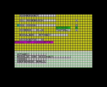 County Cricket [Model CC2] screenshot
