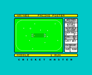 Cricket Master screenshot