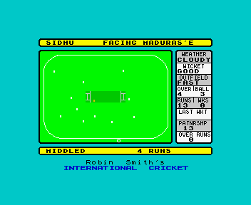 Robin Smith's International Cricket screenshot