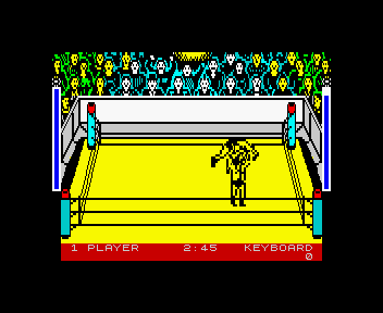 Rock 'n Wrestle [Model MH 238] screenshot