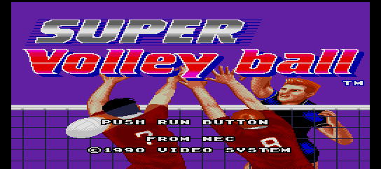 Super Volleyball [Model TGX020043] screenshot