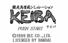Kyousouba Ikusei Simulation KEIBA [Model SWHJ-BEC001] screenshot