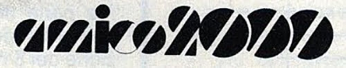 AMICO 2000