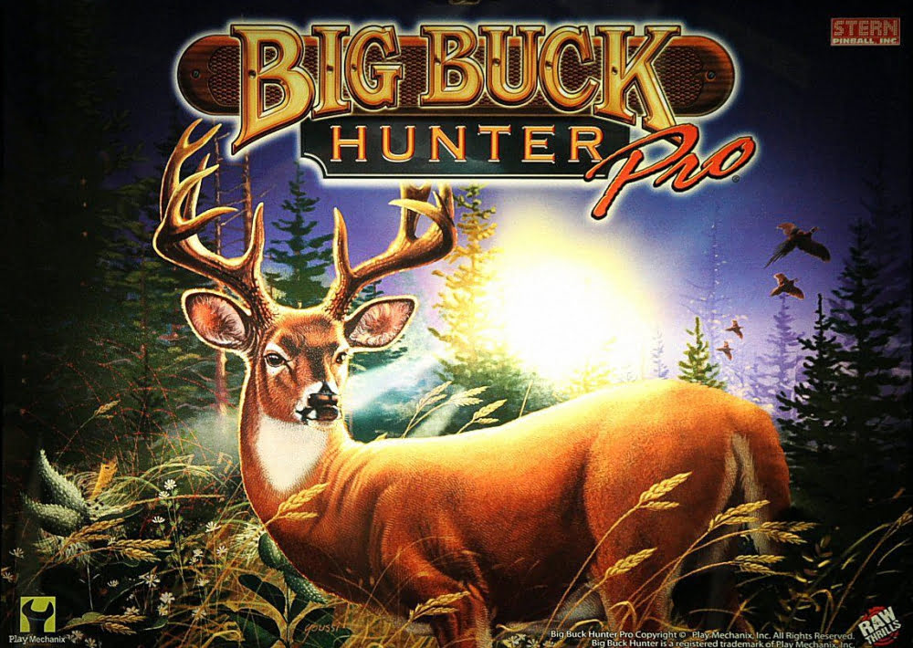 Big Buck Hunter Pro