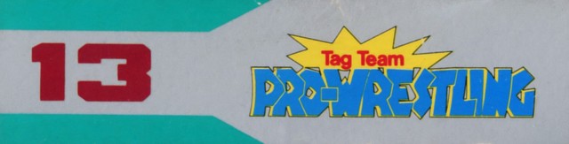 Tag Team Pro Wrestling [Model 13 NPW-4900]